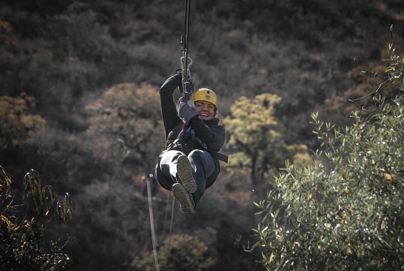 Ziplining in Forests